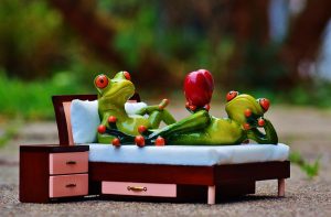 Frogs in bed