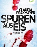 Spuren aus Eis - Claudia Praxmayer