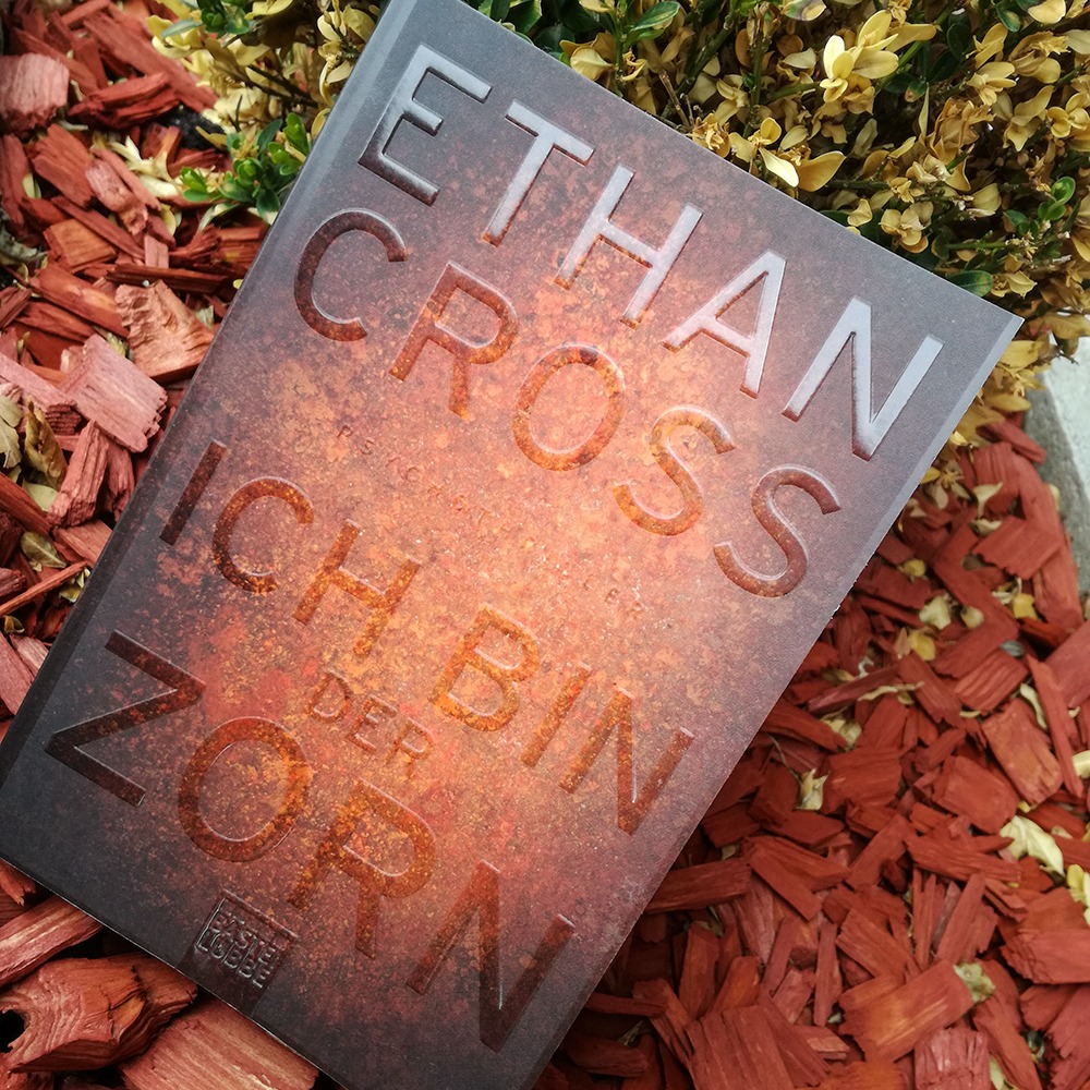 Ich bin der Zorn - Ethan Cross