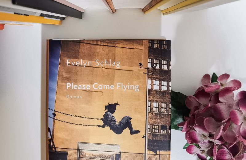 Please come flying - Evelyn Schlag